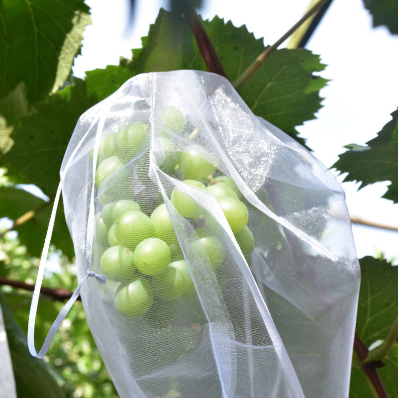 Fruit Protection Bags