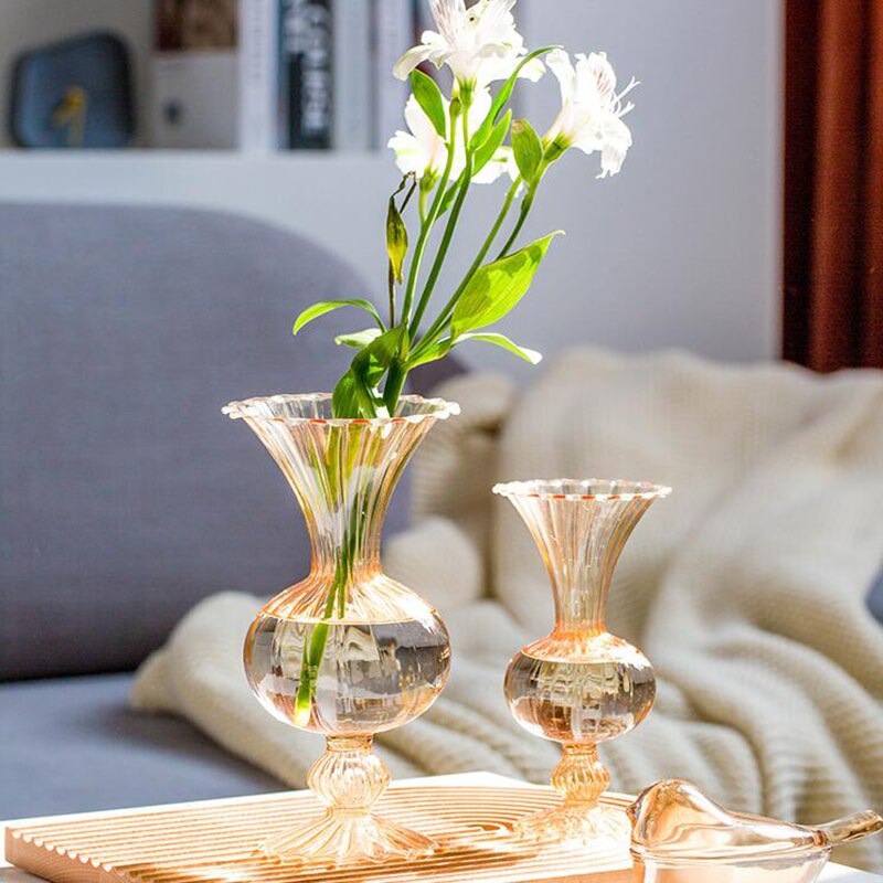 Minimalist Glass Vase for Flower