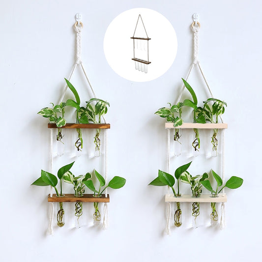 Creative Solid Wood Hydroponic Test Tube Glass Wall Hanging