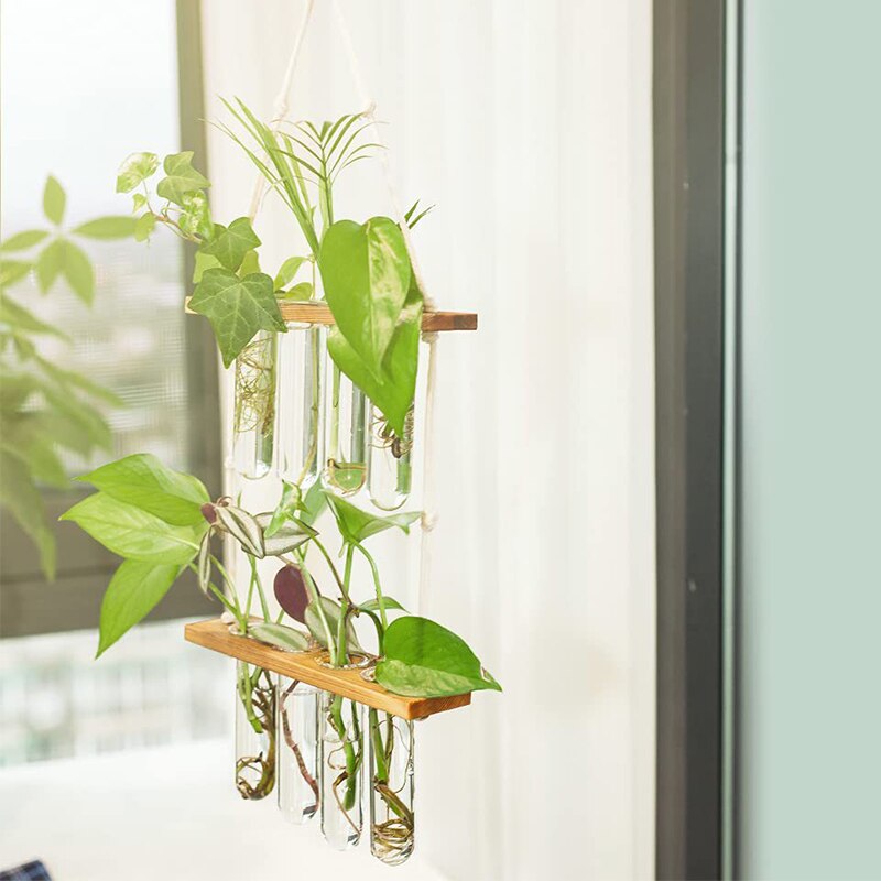 Creative Solid Wood Hydroponic Test Tube Glass Wall Hanging